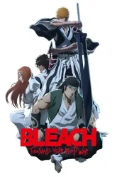 Bleach-2-Hindi